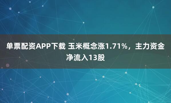 单票配资APP下载 玉米概念涨1.71%，主力资金净流入13股
