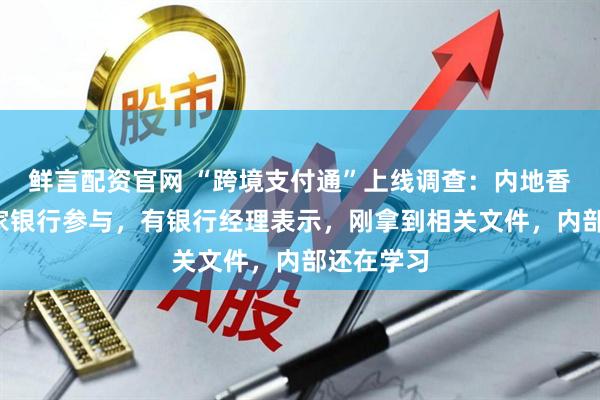 鲜言配资官网 “跨境支付通”上线调查：内地香港各有6家银行参与，有银行经理表示，刚拿到相关文件，内部还在学习