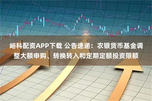 峪科配资APP下载 公告速递：农银货币基金调整大额申购、转换转入和定期定额投资限额