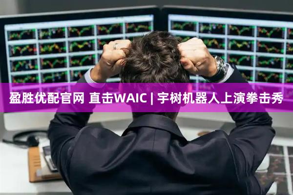 盈胜优配官网 直击WAIC | 宇树机器人上演拳击秀