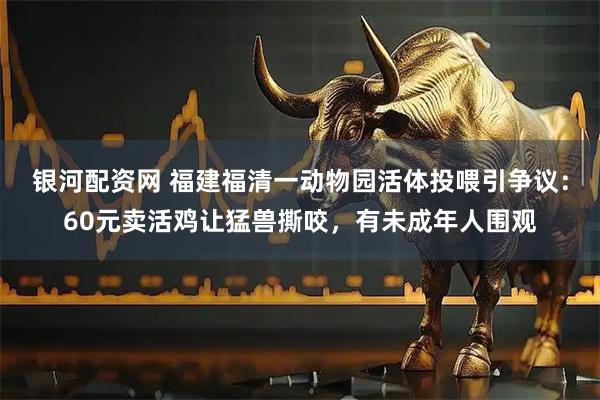 银河配资网 福建福清一动物园活体投喂引争议:60元卖活鸡让猛兽撕咬,有未成年人围观