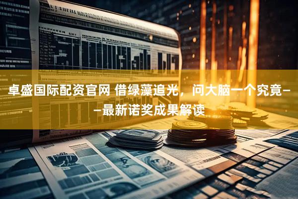 卓盛国际配资官网 借绿藻追光，问大脑一个究竟——最新诺奖成果解读